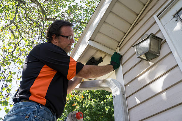 Best Carpet Removal and Disposal  in Forsyth, MT